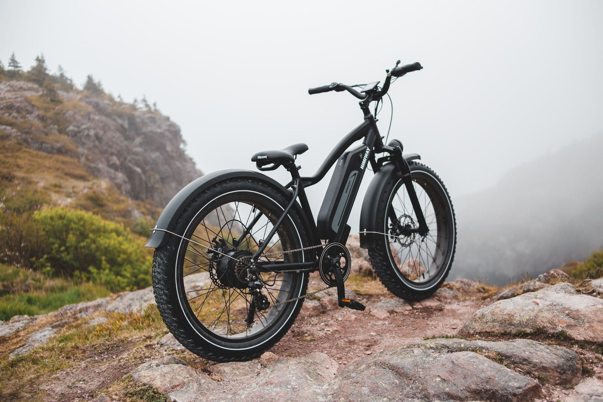 Qu'est-ce qu'un <blue>fat bike</blue> ?