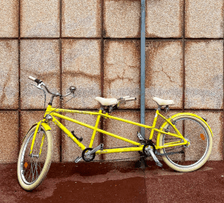 Quels sont les <red>types de vélos</red> proposés par les loueurs ?