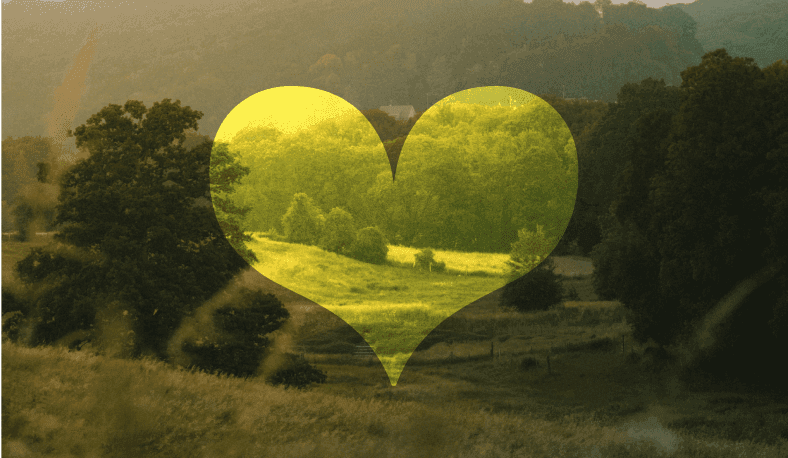 Lancement de Lokki.Rent : la marketplace qui révolutionne les loisirs durables en France