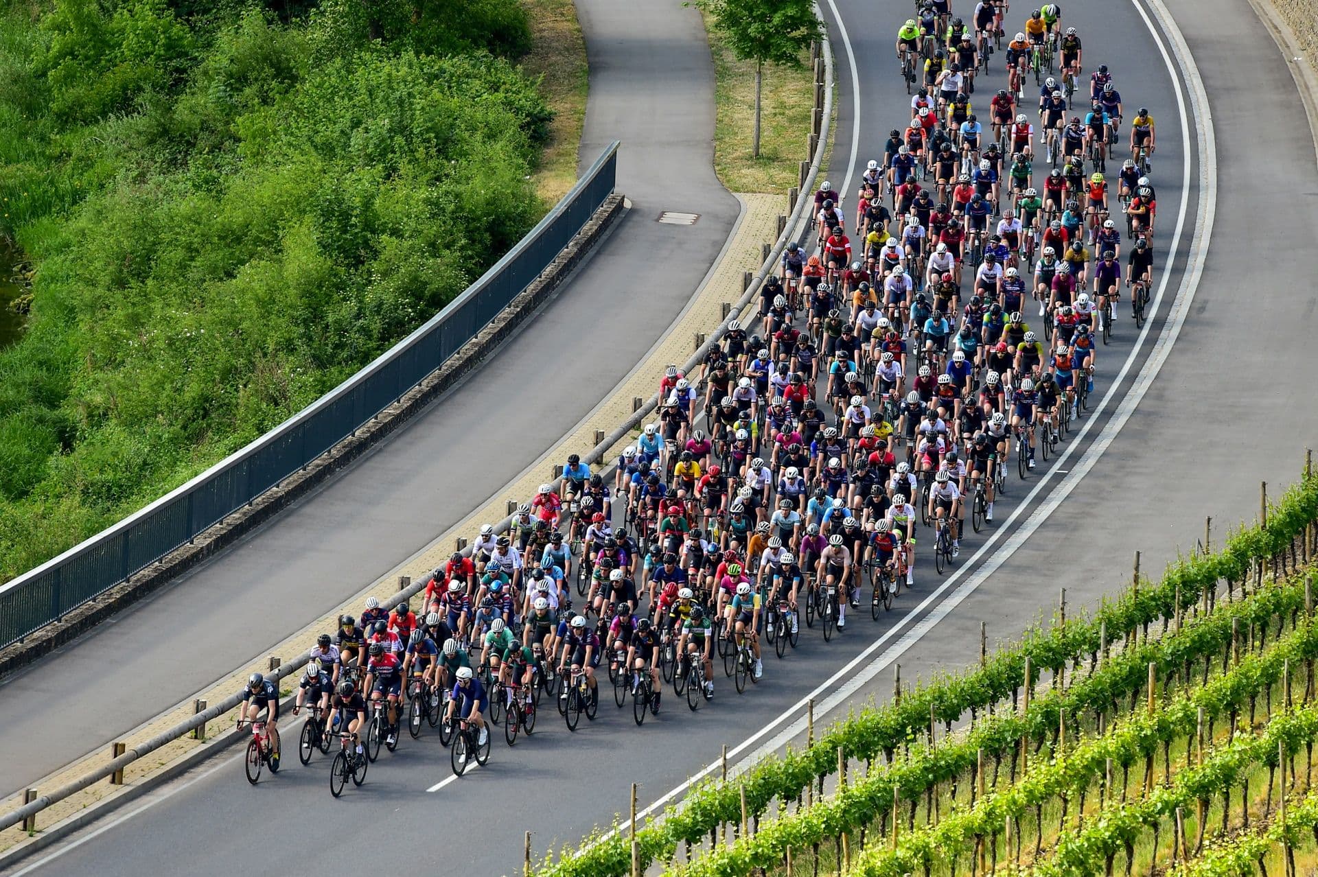 Cyclosportives et Gran Fondo : On vous explique tout