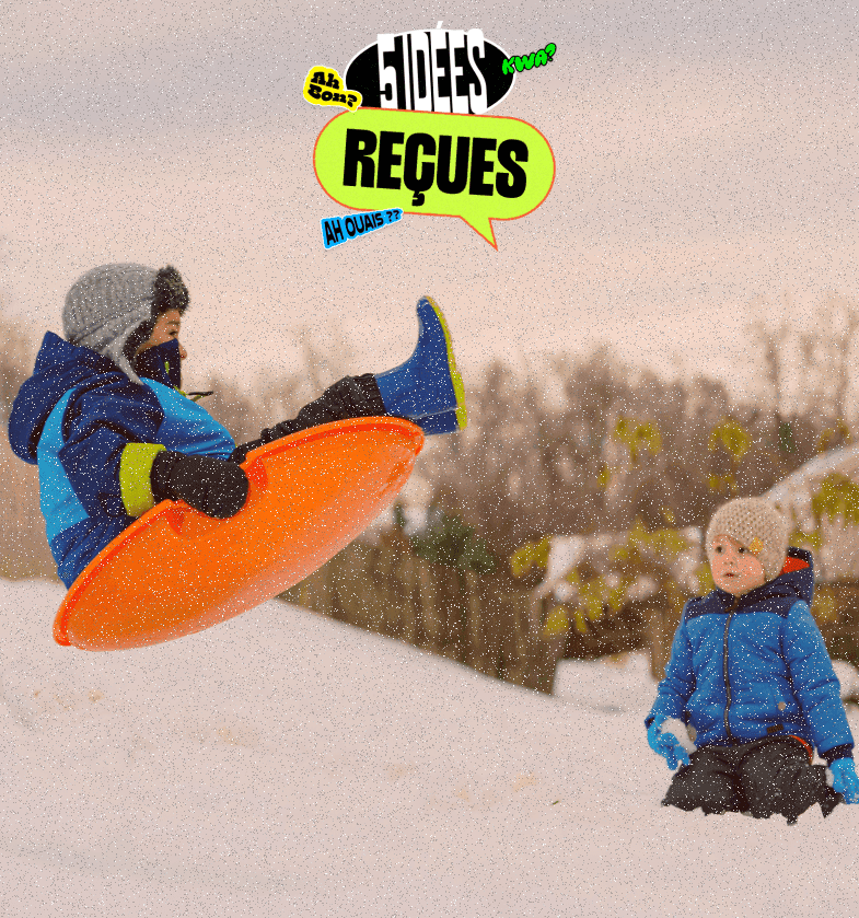 5 <green> idées reçues </green> sur la <green> luge </green> 