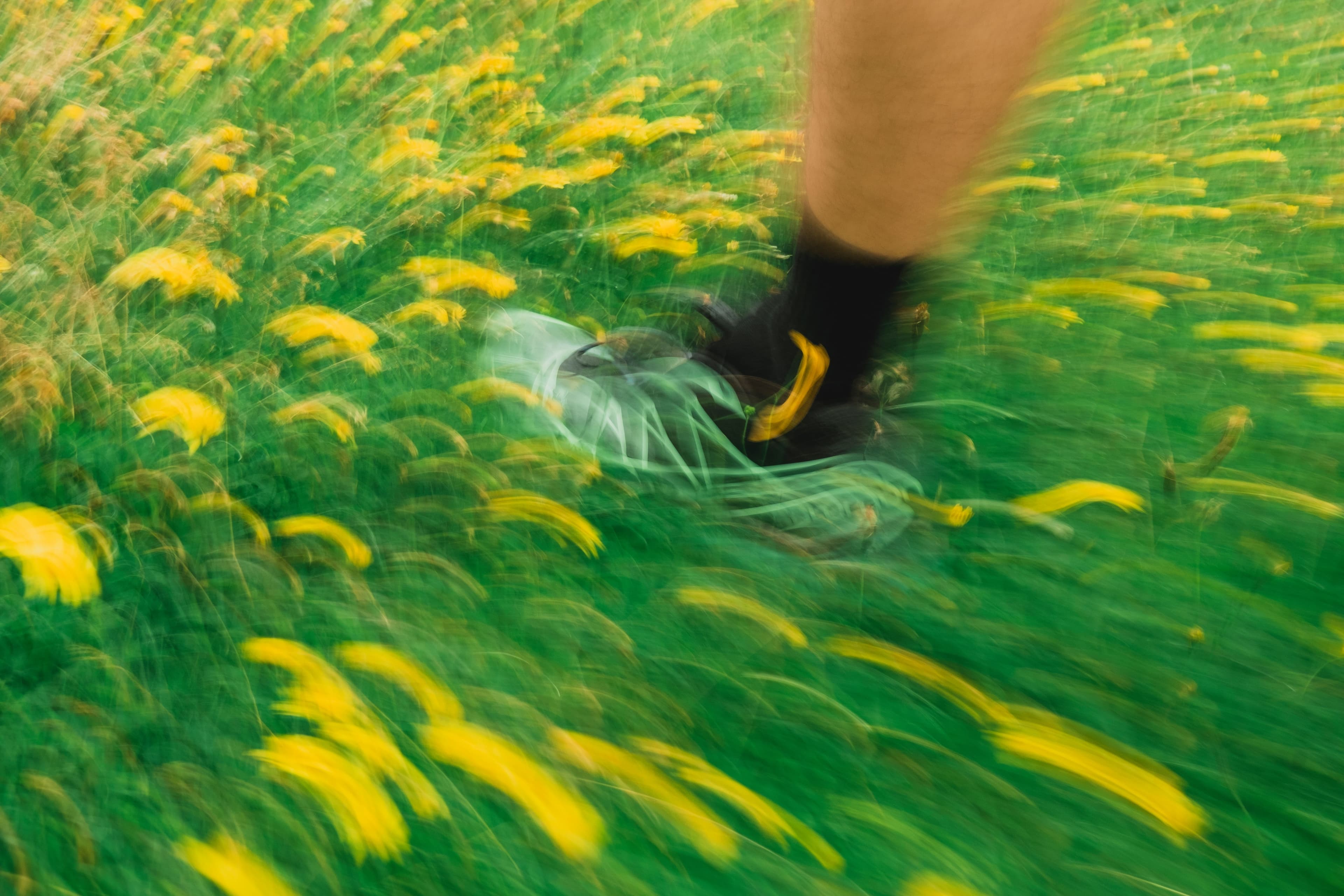 Possédez moins, profitez plus - Le média de la sobriété heureuse-image