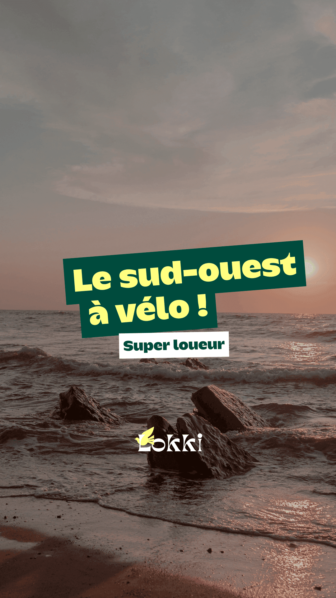 On vous a fait rêvé ?