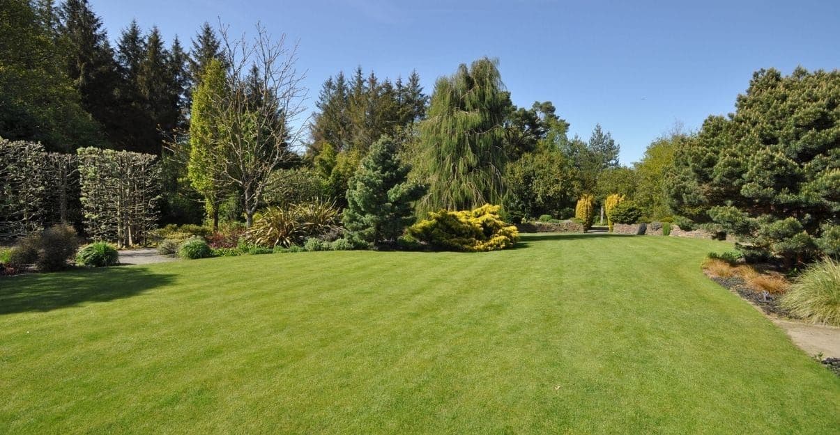 Quel matériel pour entretenir un grand jardin ?-image