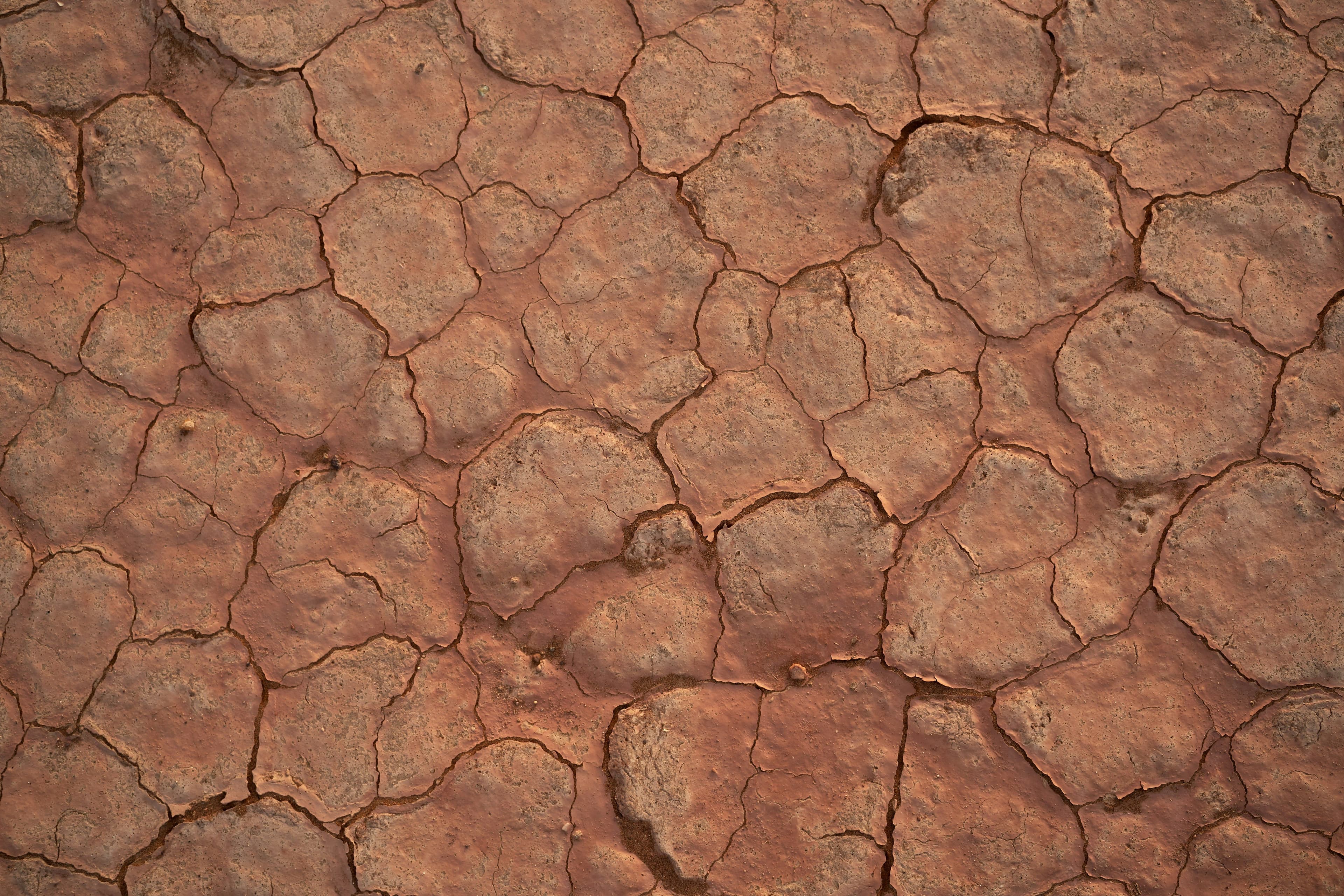 Les 9 limites planétaires : Où en est-on ?	