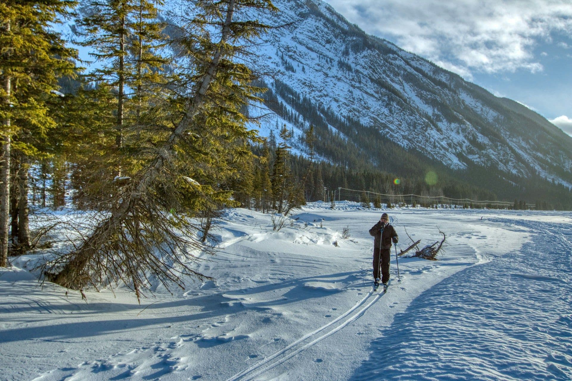 L'histoire du ski de fond