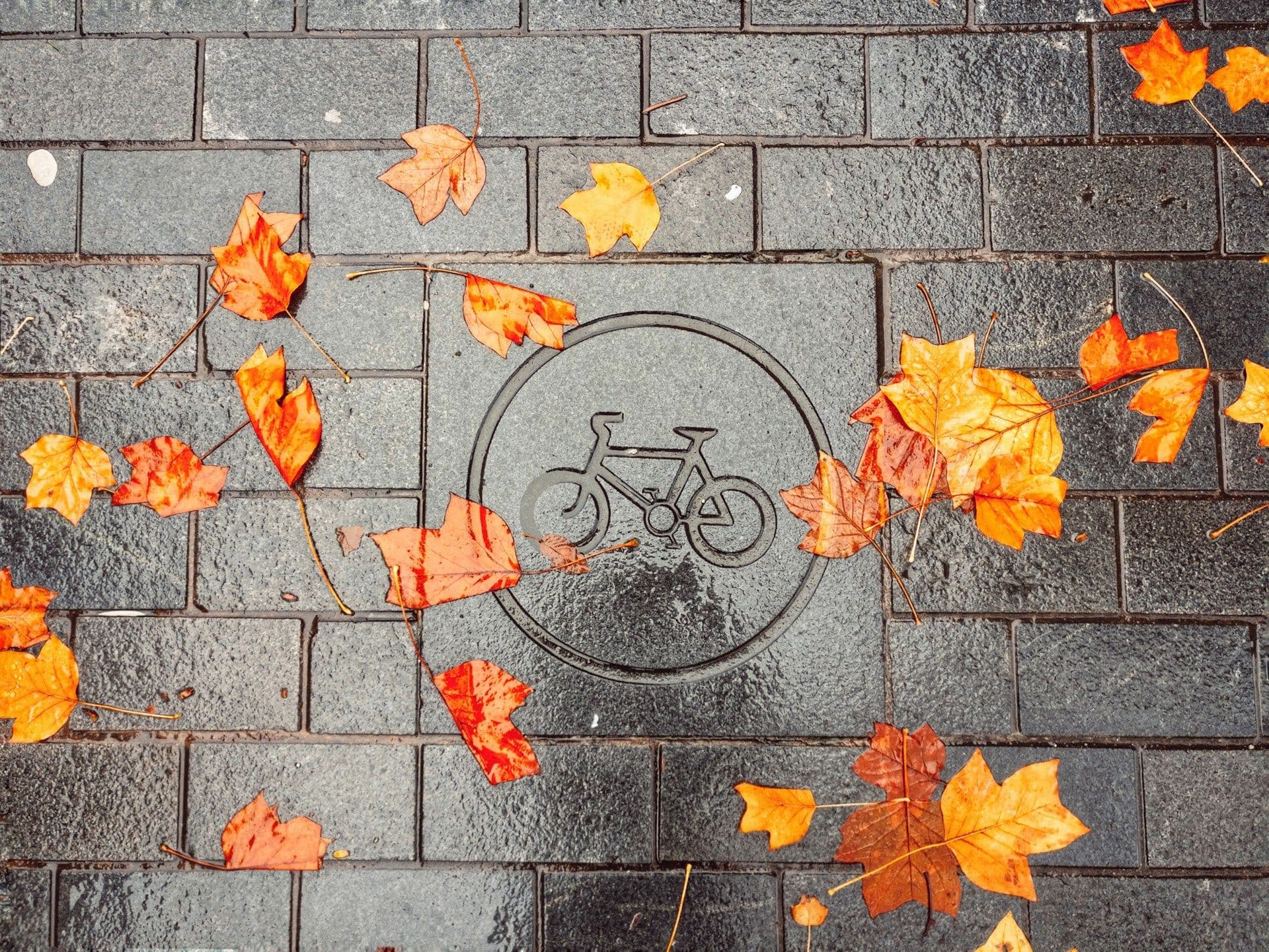 <red>10 panneaux de signalisation</red> à connaître à vélo