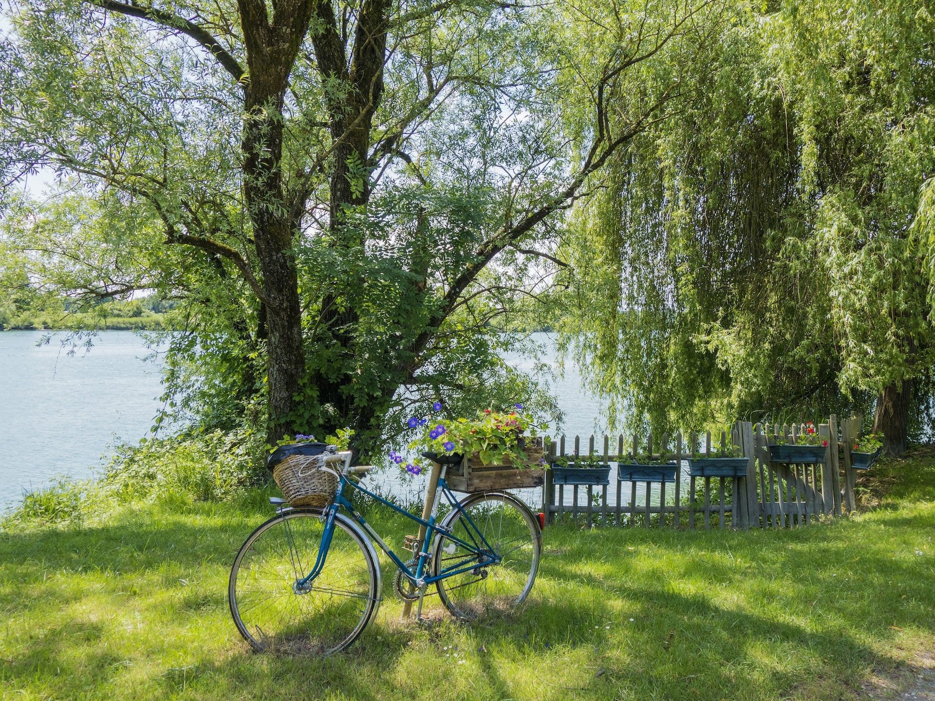 La <blue>ViaRhôna</blue>, tout savoir sur cet itinéraire cyclable de 815 km