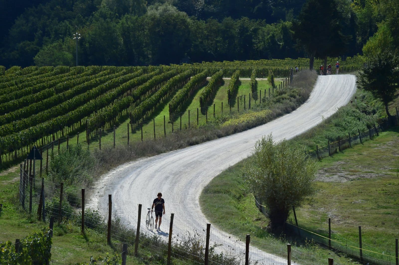 L'Italie à vélo : Routes mythiques et paysages époustouflants