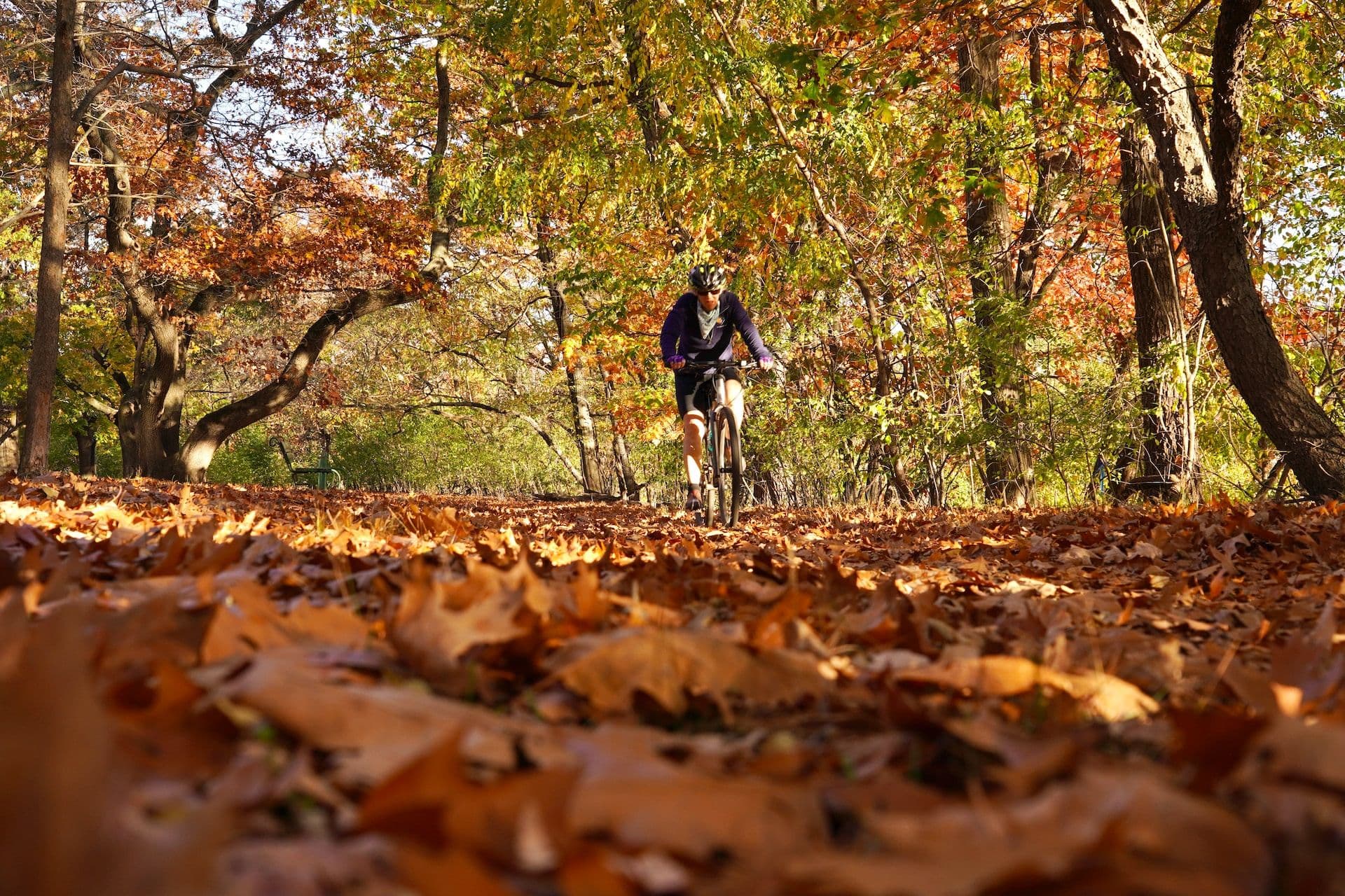 10 raisons pour lesquelles <red>faire du vélo en automne est incroyable</red>